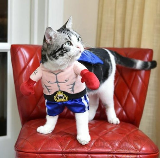 Boxer Cat Costume, Cat Clothes