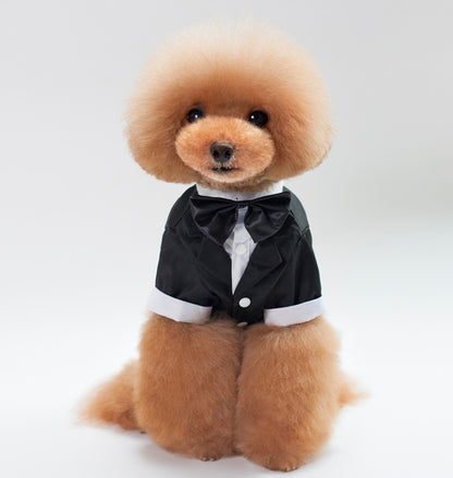 Wedding Suit pet clothes