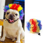 Pet Hair Accessories ,Pet wigs !Halloween Christmas Wig!