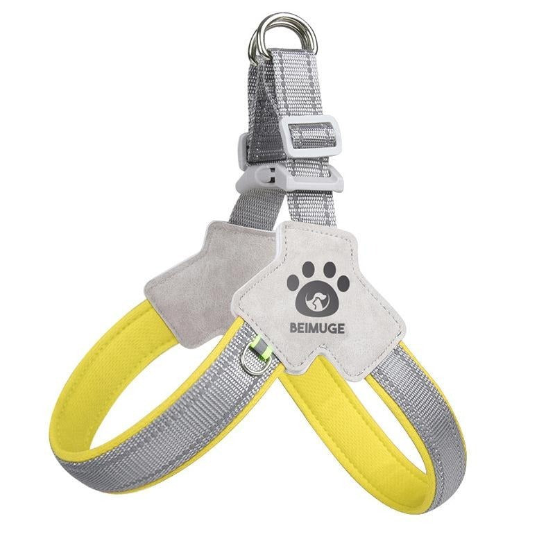 Adjustable, comfortable, reflective no-pull harness with leather leash.