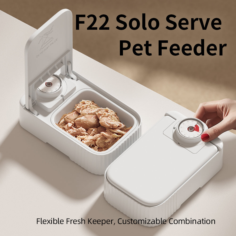 Pet Feeder with 48H Timer, Ice Box & Splash-Proof Design