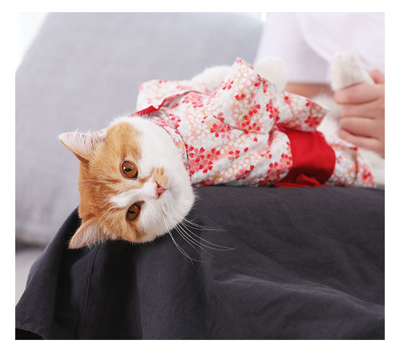 Thin Kimono Hairless Cat Puppet Pet Cat Dress