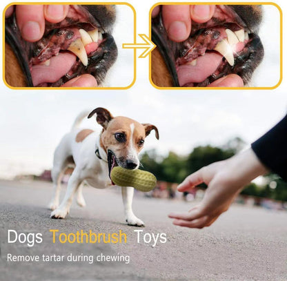 Squeaky rubber chew toy for dogs.