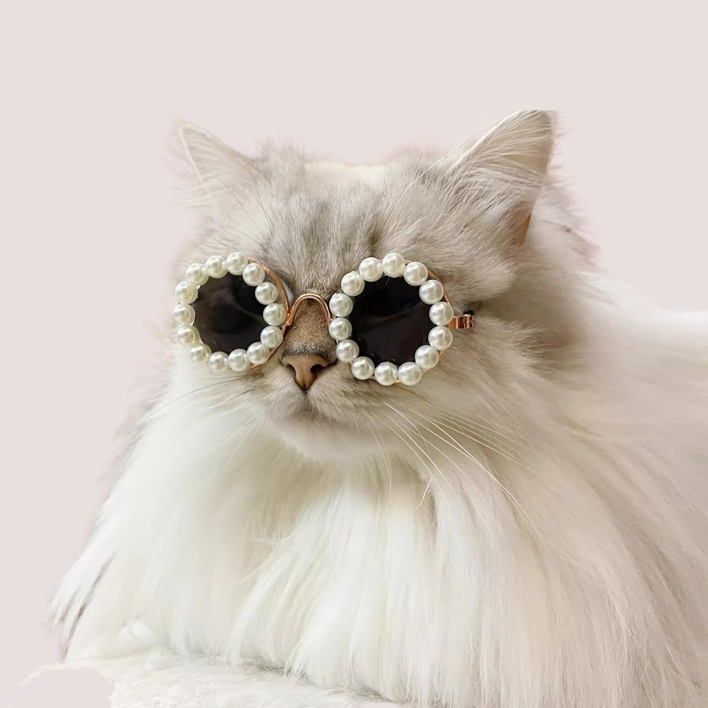 Cat & Dog Pearl Sunglasses – Cute Pet Party Accessories.