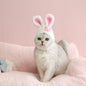 Cute Rabbit Pet Hat – Soft, Stylish & All-Season Wear