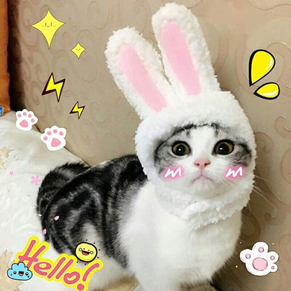 Cute Rabbit Pet Hat – Soft, Stylish & All-Season Wear