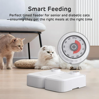 Pet Feeder with 48H Timer, Ice Box & Splash-Proof Design