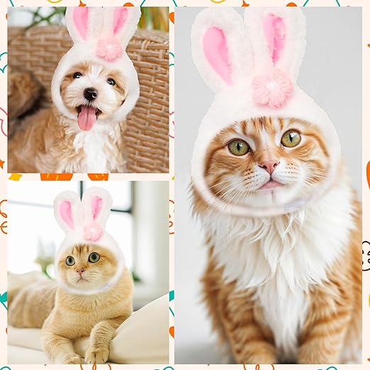 Cute Rabbit Pet Hat – Soft, Stylish & All-Season Wear