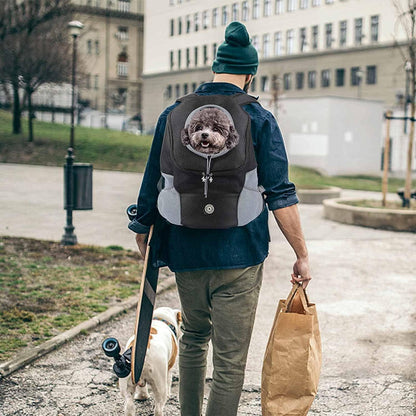 Comfortable pet backpack for easy, hands-free travel with dogs.