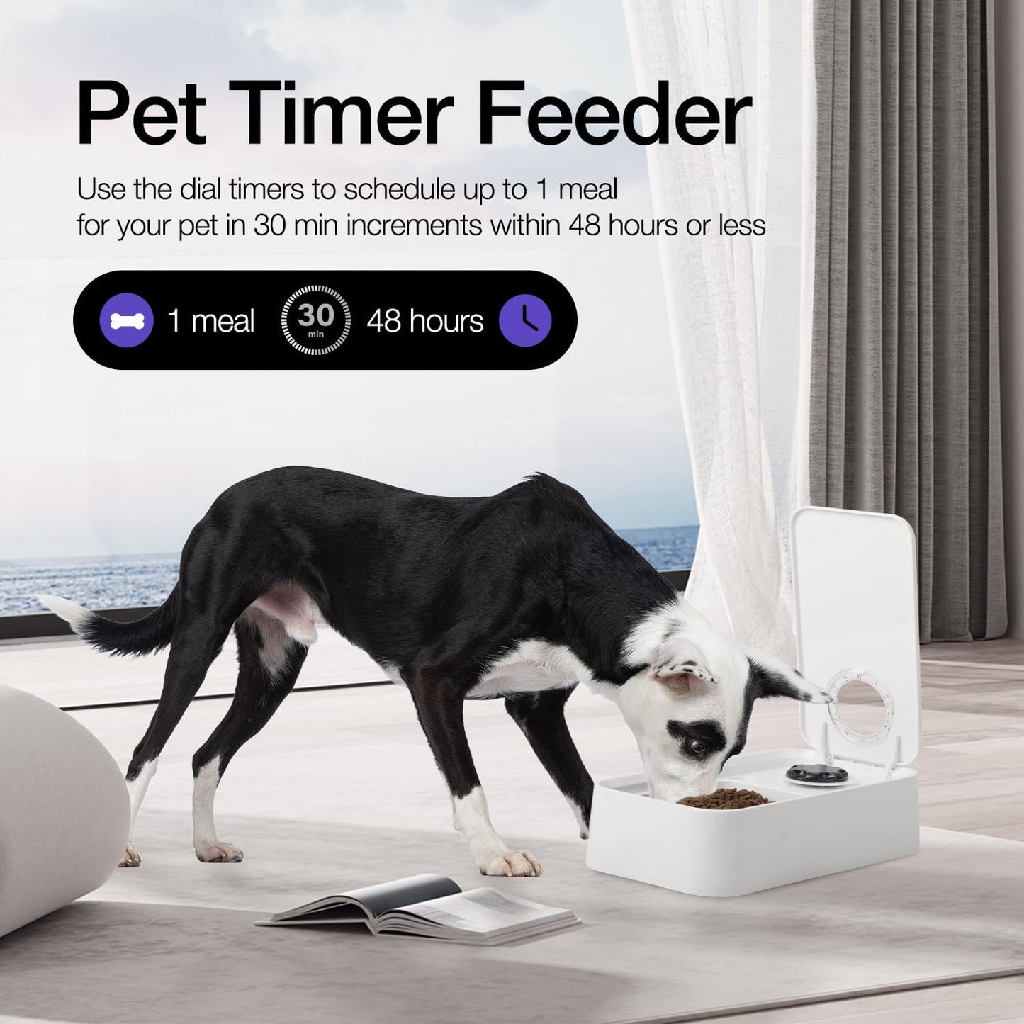 Pet Feeder with 48H Timer, Ice Box & Splash-Proof Design