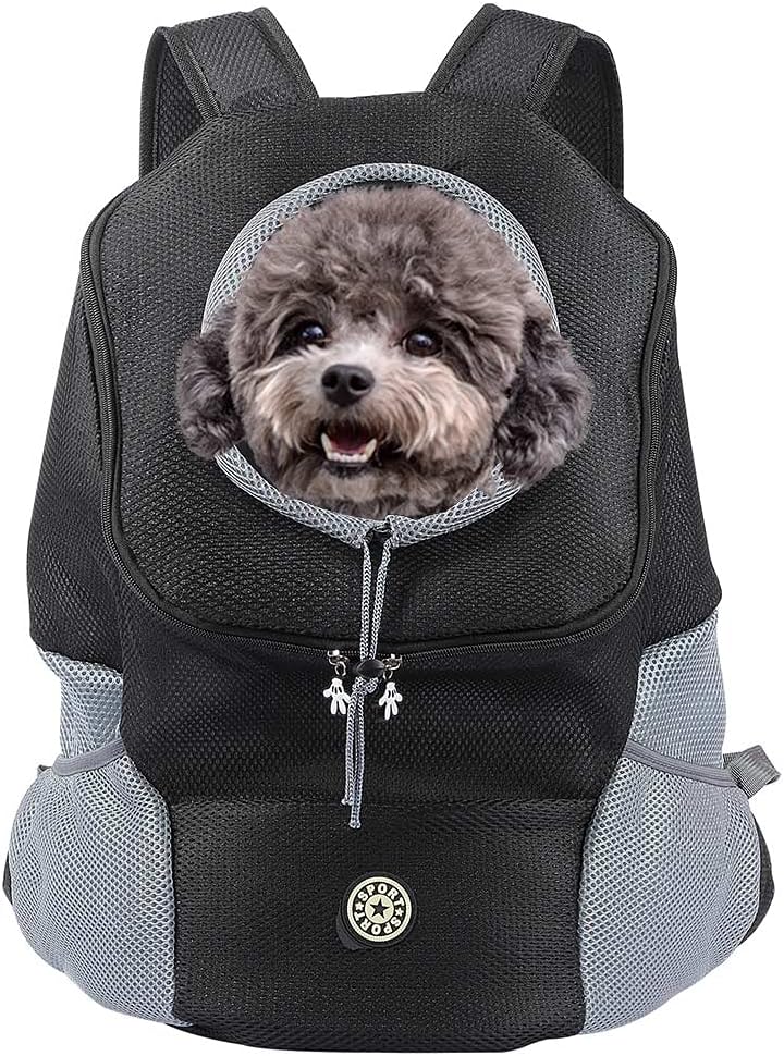 Comfortable pet backpack for easy, hands-free travel with dogs.