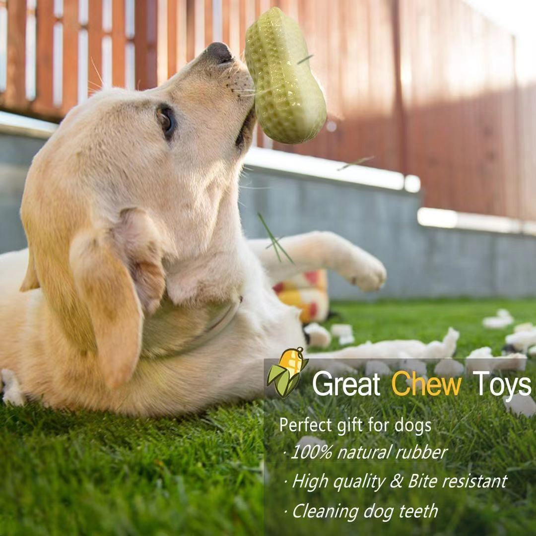 Squeaky rubber chew toy for dogs.