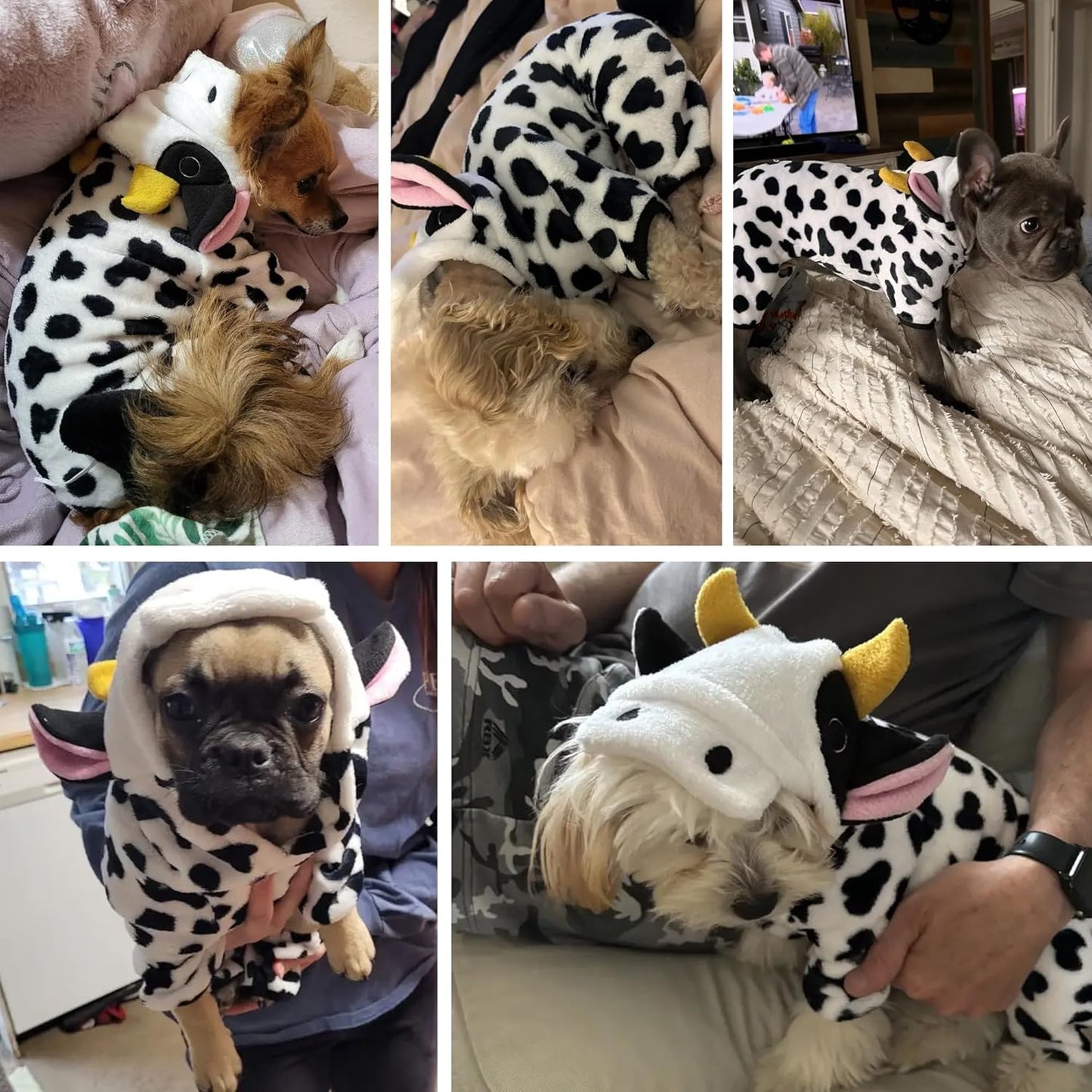 Cute Cow Pet Outfit – Soft, Cozy Perfect Fit