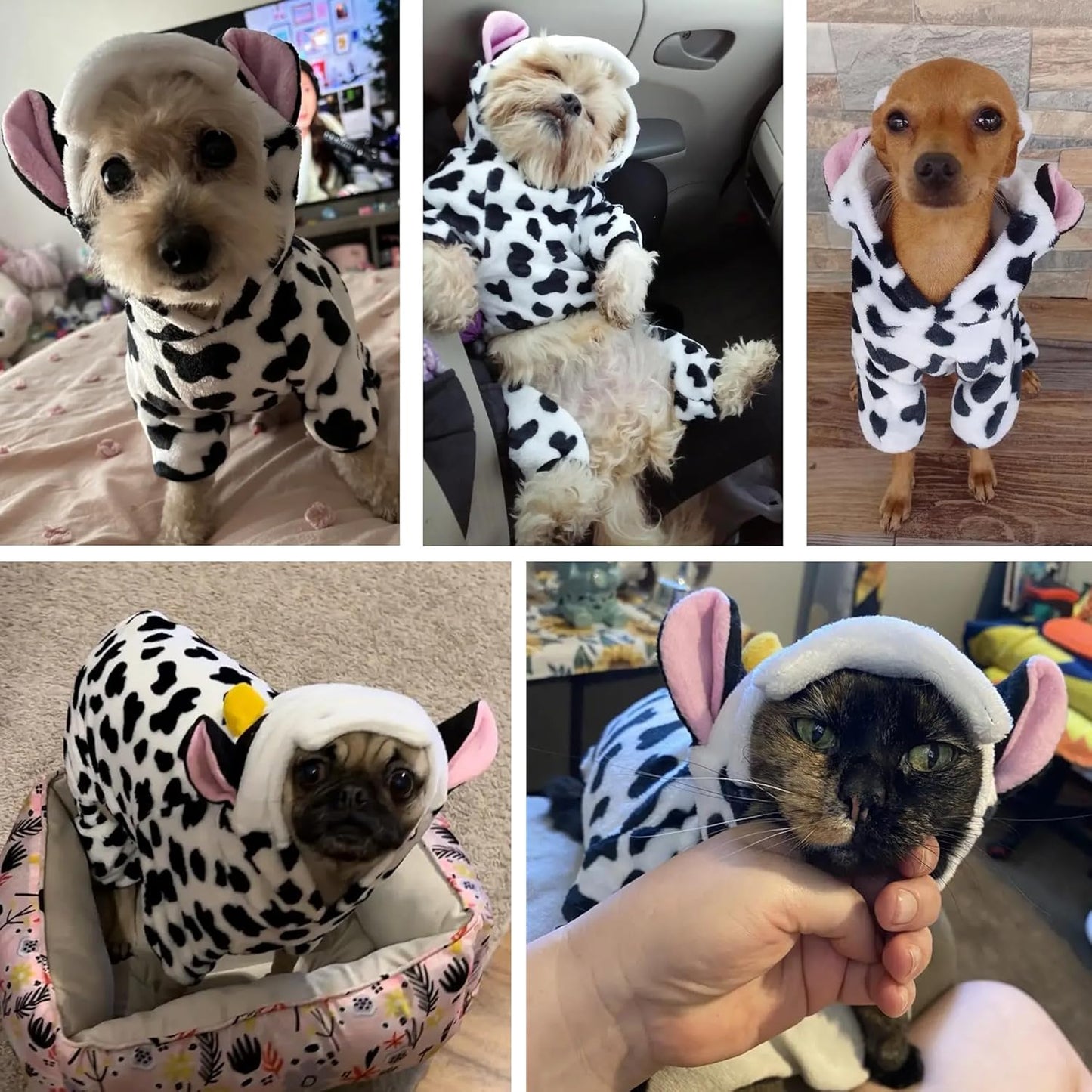 Cute Cow Pet Outfit – Soft, Cozy Perfect Fit