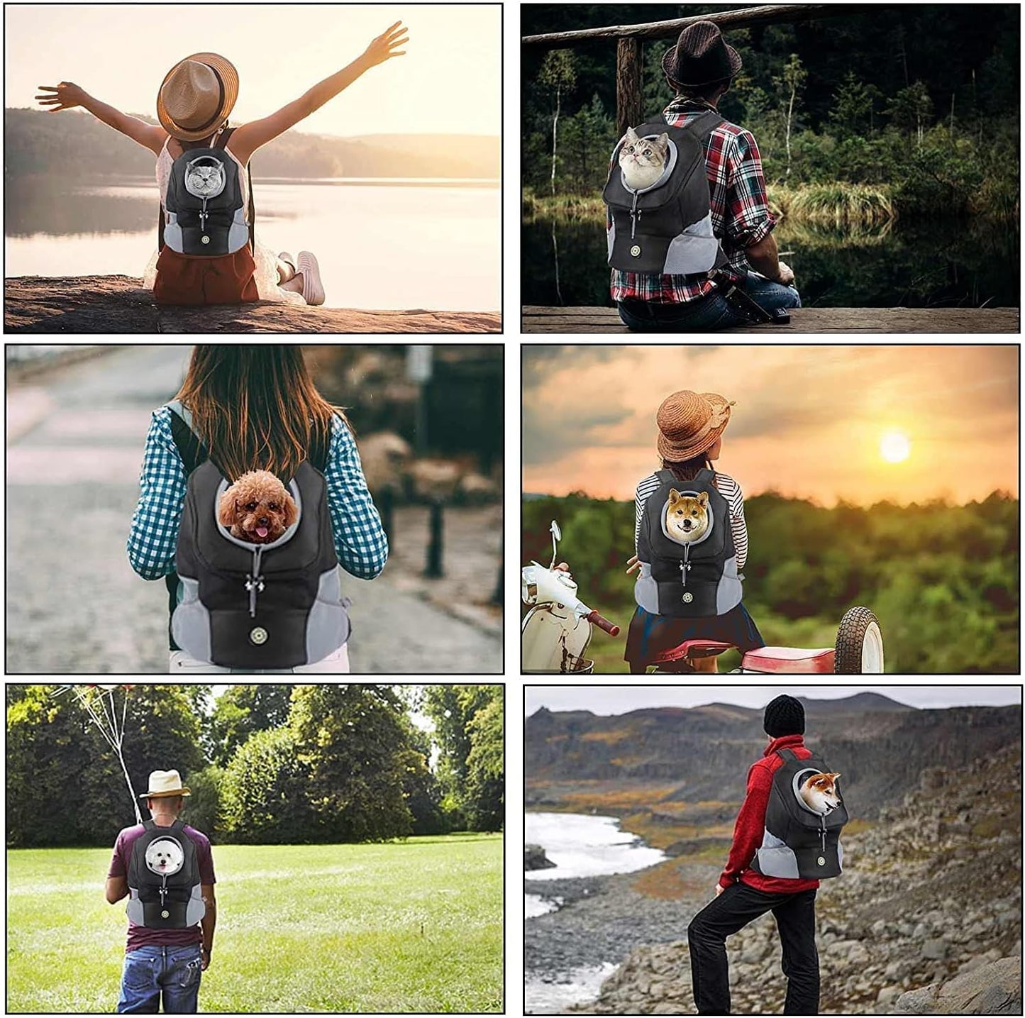 Comfortable pet backpack for easy, hands-free travel with dogs.