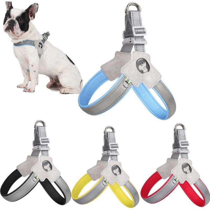 Adjustable, comfortable, reflective no-pull harness with leather leash.