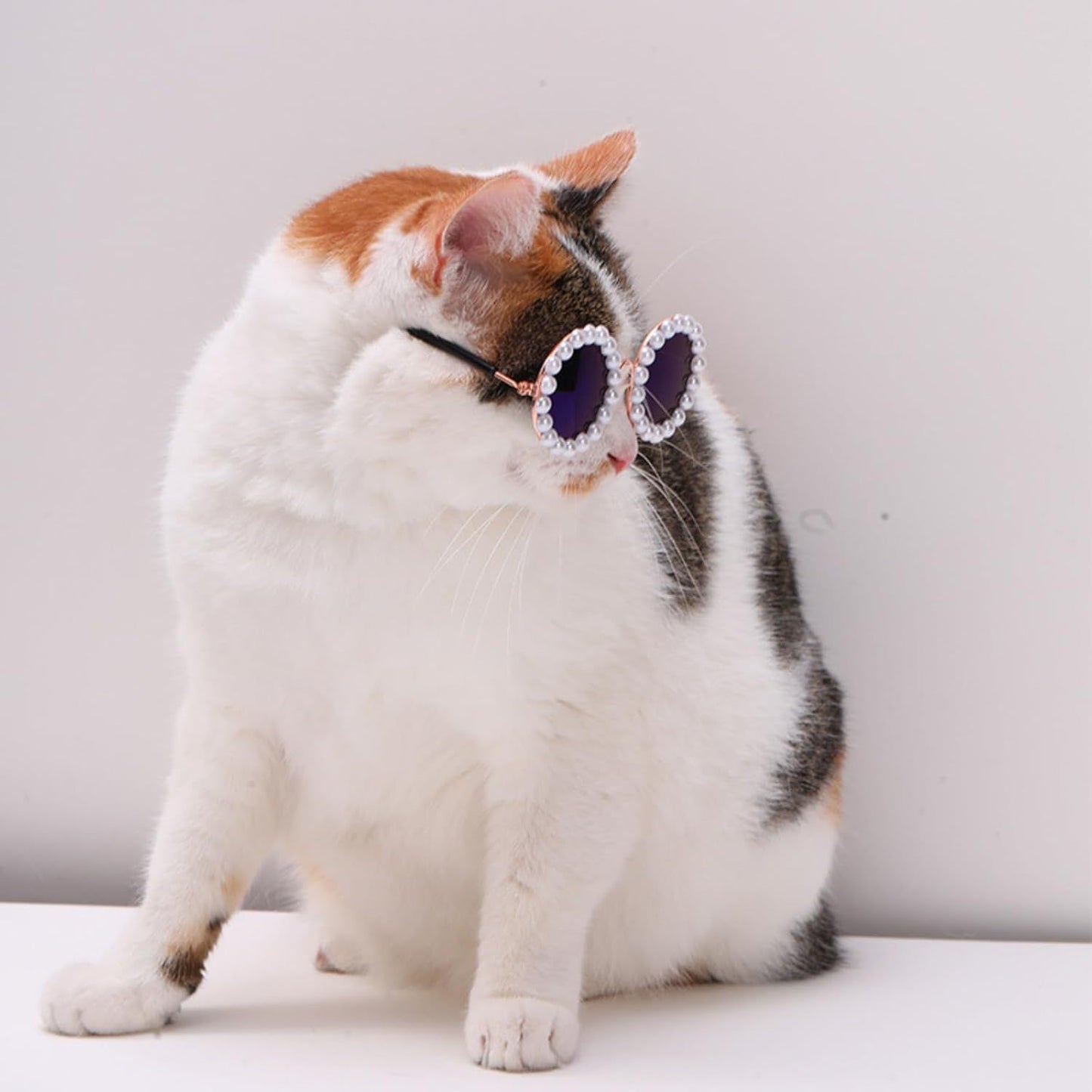 Cat & Dog Pearl Sunglasses – Cute Pet Party Accessories.