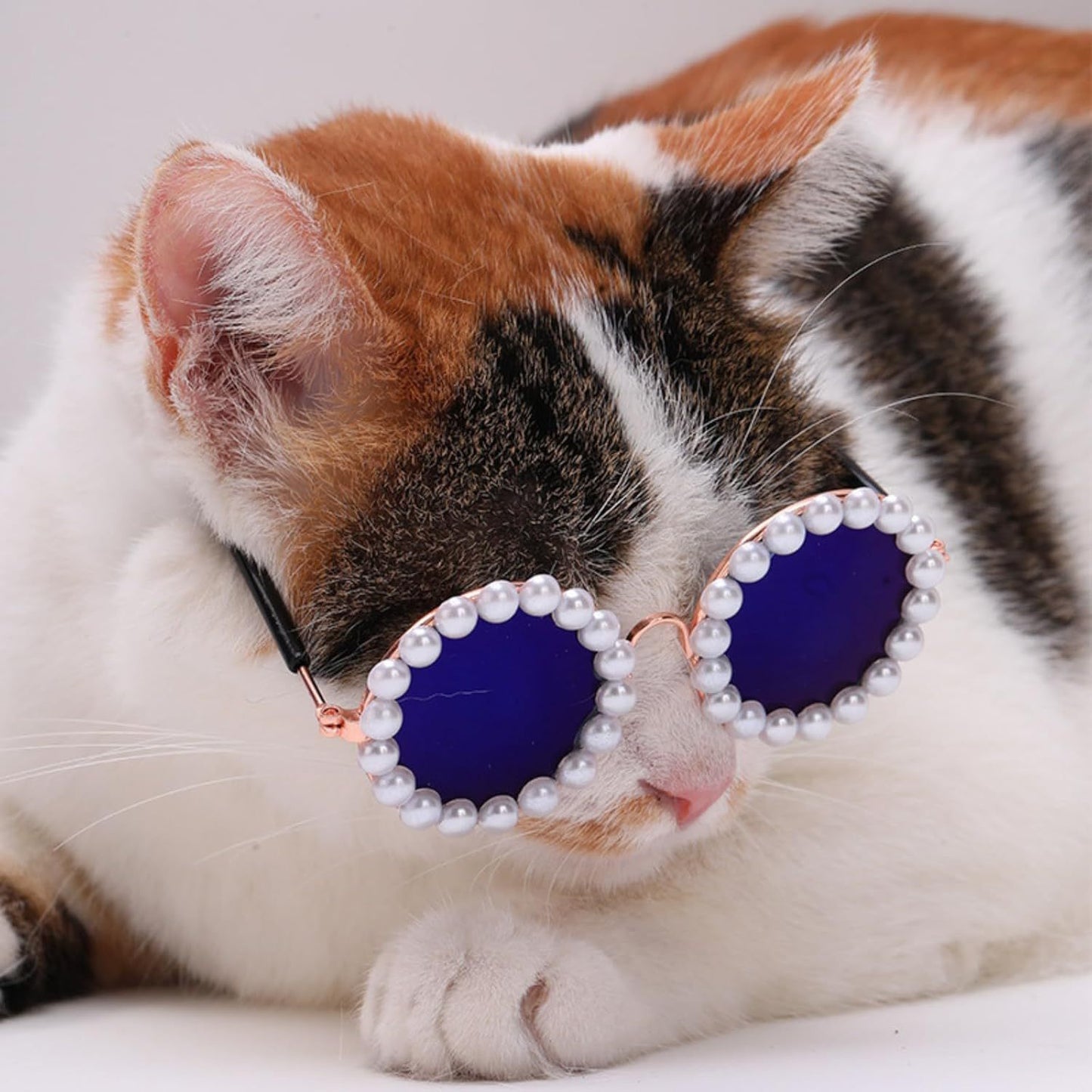 Cat & Dog Pearl Sunglasses – Cute Pet Party Accessories.