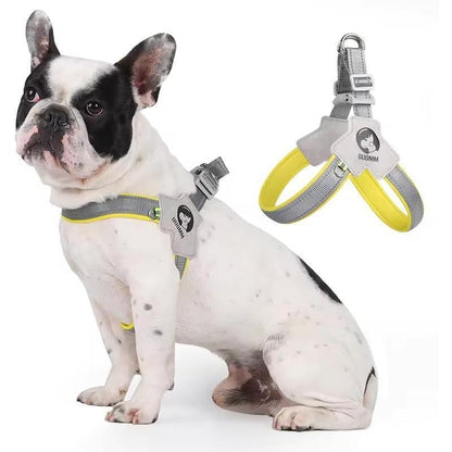 Adjustable, comfortable, reflective no-pull harness with leather leash.