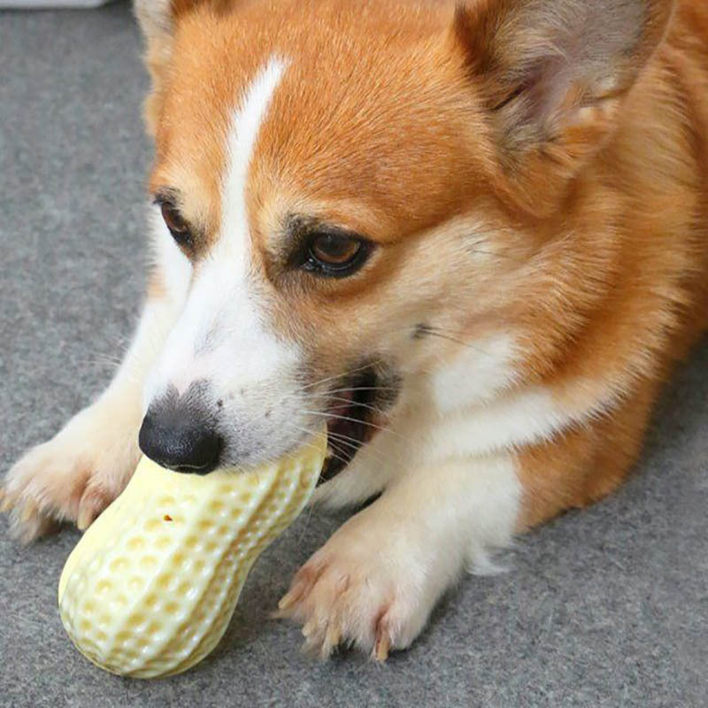 Squeaky rubber chew toy for dogs.