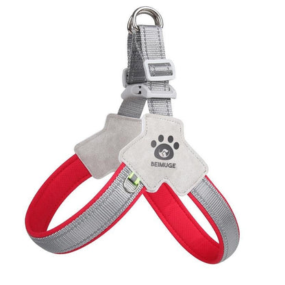 Adjustable, comfortable, reflective no-pull harness with leather leash.