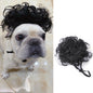 Pet Hair Accessories ,Pet wigs !Halloween Christmas Wig!