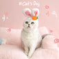 Cute Rabbit Pet Hat – Soft, Stylish & All-Season Wear